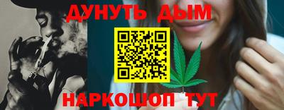 индика Абакан