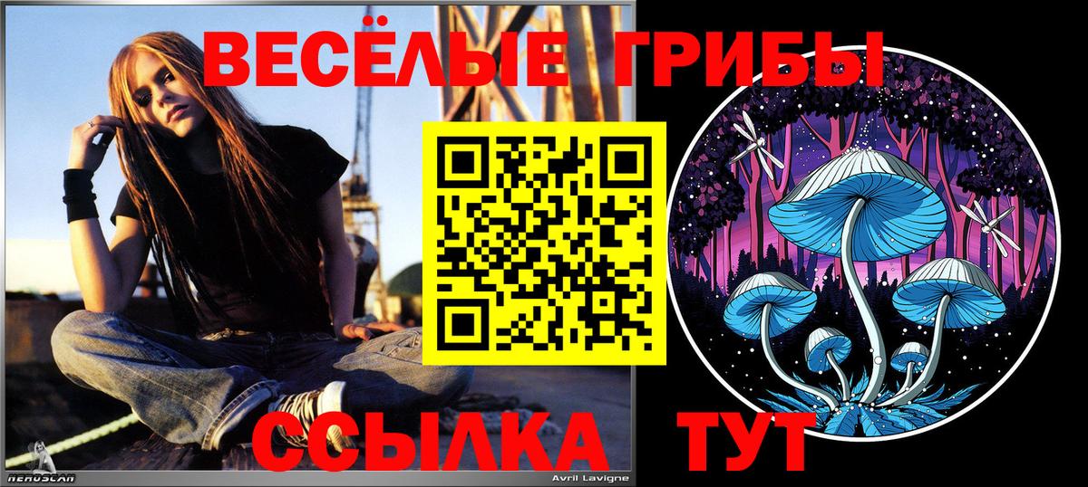 Лобня  Галлюциногенные грибы GOLDEN TEACHER  Вход с VPN  Псилоцибиновые грибы Cubensis 