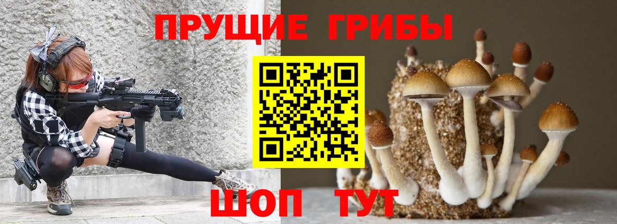 Псилоцибиновые грибы мицелий Лобня