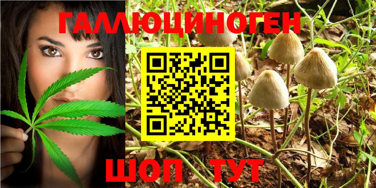 Галлюциногенные грибы MAGIC MUSHROOMS  Лобня 