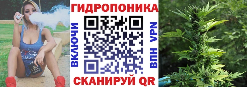 Шишки марихуана гибрид  закладки  Лобня 